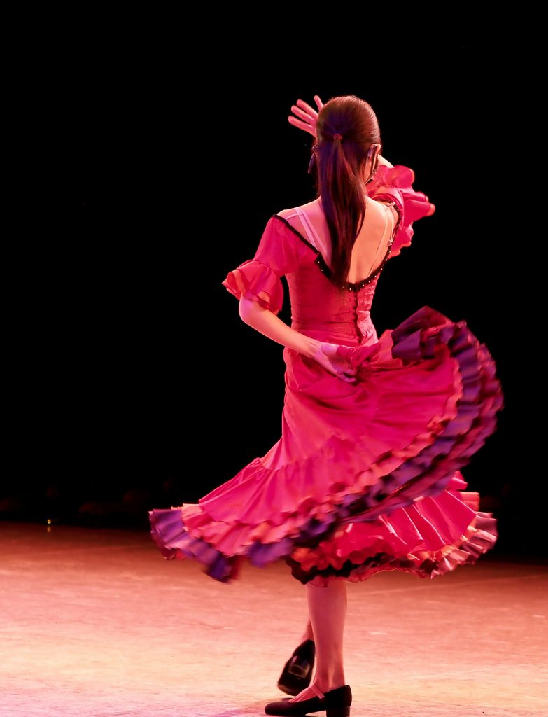Flamenco Spanje, Foto van Kazuo ota op Unsplash