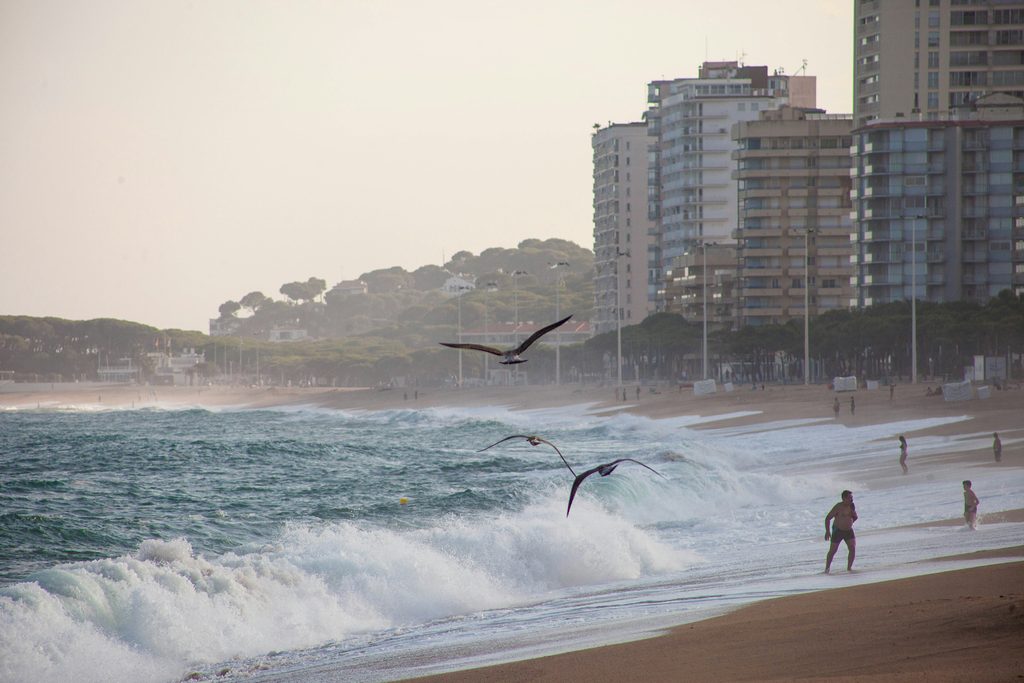 Meeuwen boven het strand van Playa de Aro, Catalonië, Spanje. Foto van Andrey Kremkov op Unsplash