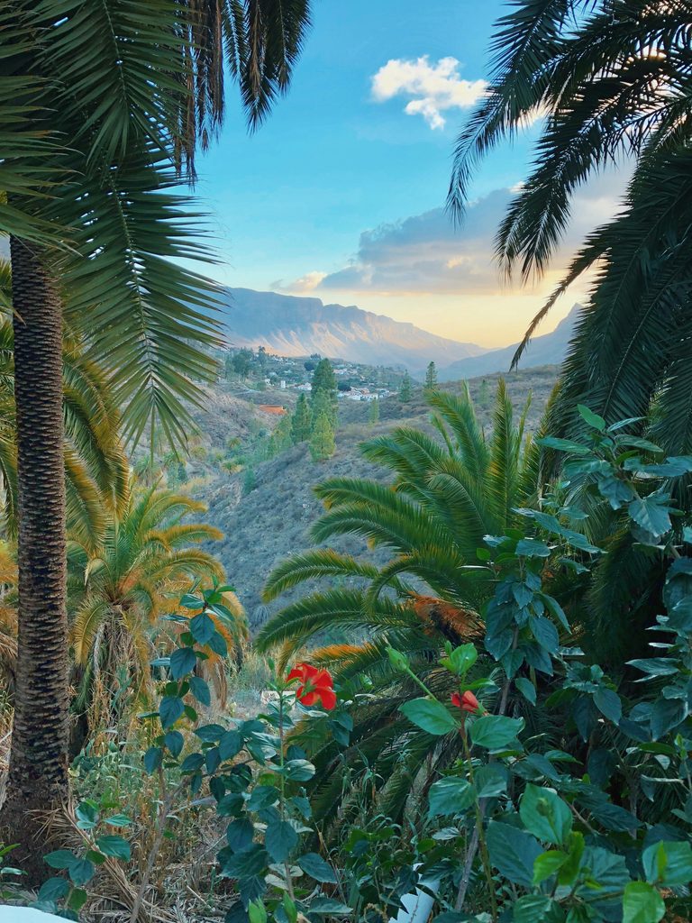 Cruises in Spanje: Zonsondergang in Gran Canaria, Spanje. Foto van Reiseuhu op Unsplash